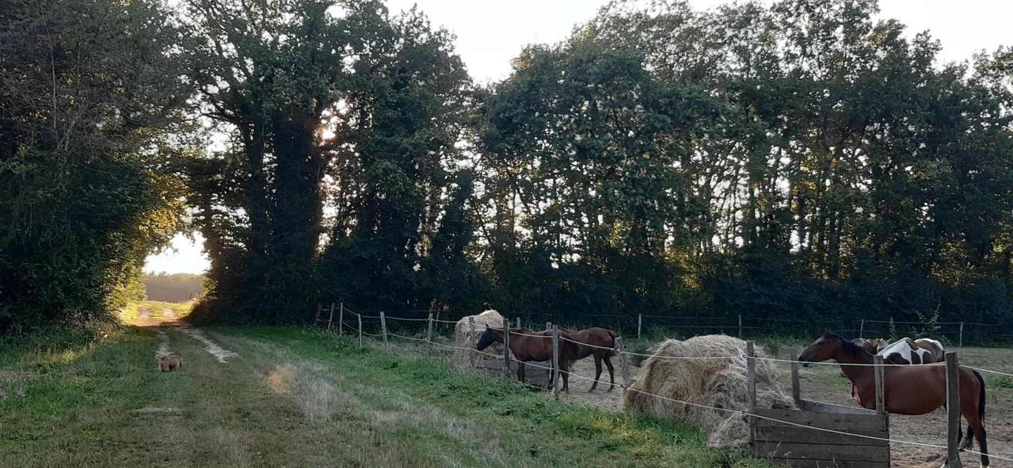 Casa de Férias De La Tuiliere, Calme Absolu Dans Hameau Protege